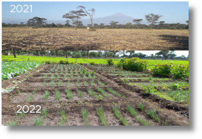 The site of the Isineti project, Kajiado